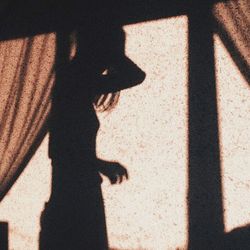 Shadow of people on street