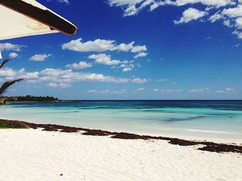 Scenic view of beach against blue sky