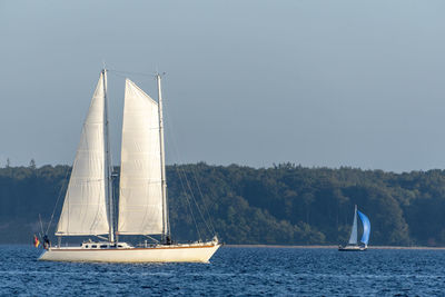 Sailboat sailing on sea against clear sky