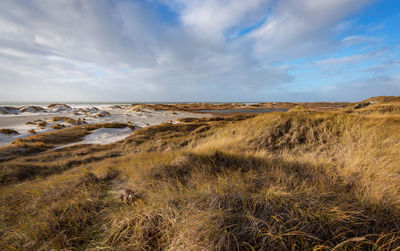 Scenic view of beach against sky