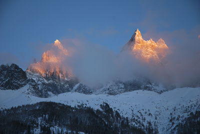 Trees against sky during winter