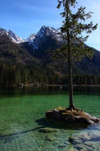 Scenic view of lake by trees against sky