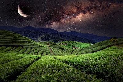 Scenic view of agricultural field against sky during sunset