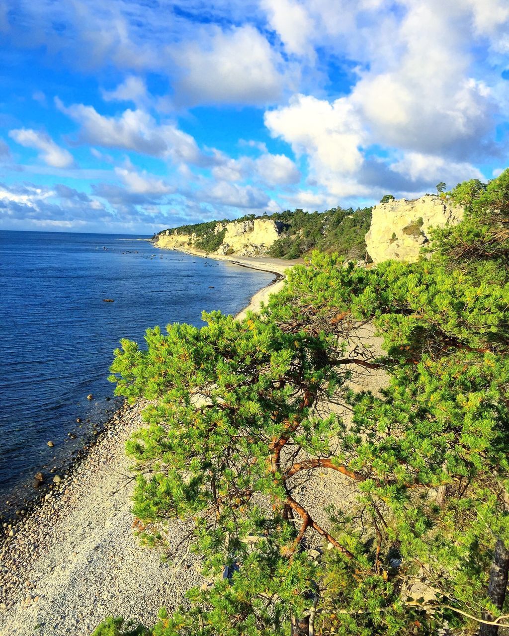 SCENIC VIEW OF SEA