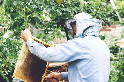 Side view of man holding honeycomb while standing against tree