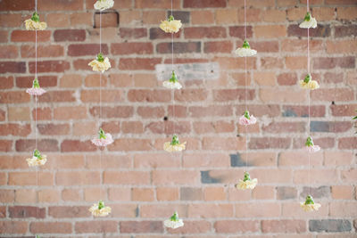 Full frame shot of ivy on brick wall