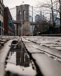 Reflection of trees in city against sky