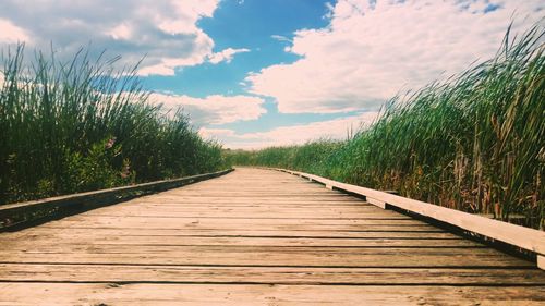 Boardwalk amidst grass against sky