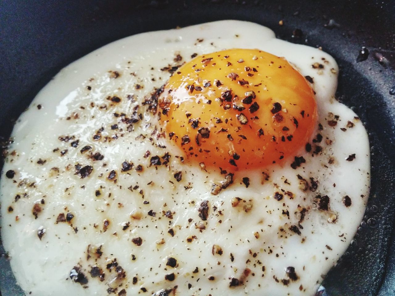 Egg = life