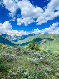 Scenic view of landscape against sky