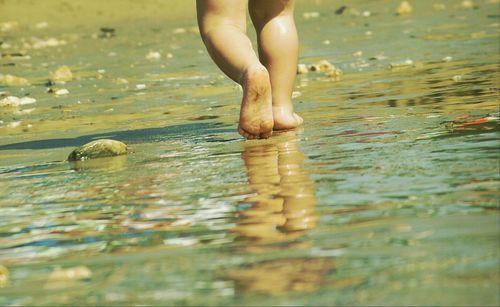 Low section of person swimming in water