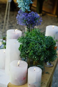 Close-up of flower pot on table