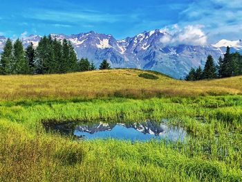 Scenic view of field and mountains against sky