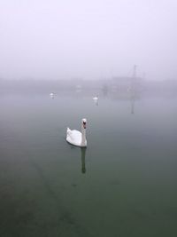 Scenic view of calm lake against sky