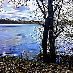 Reflection of tree in lake against sky