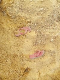 High angle view of pink sand on beach