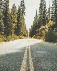 Road passing through forest