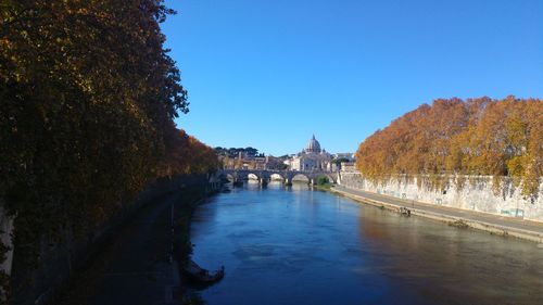 View of river amidst trees against clear blue sky