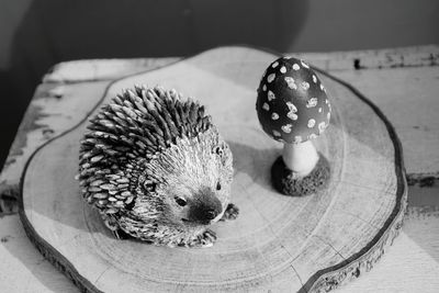 High angle view of crab on table