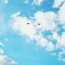 Low angle view of airplane flying in sky