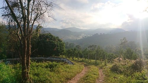 Scenic view of landscape against sky