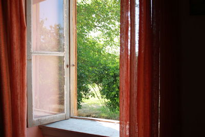 View of trees through window