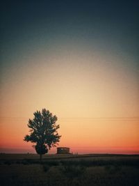 Silhouette tree on field against clear sky at sunset