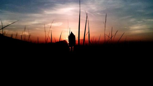 Silhouette horse on field against sky at sunset