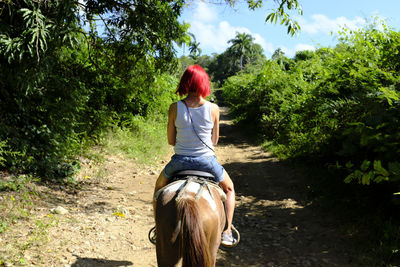 Rear view of woman riding horse