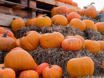 Pumpkins for sale at market stall