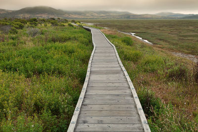 Boardwalk over grassy field at morro bay state park