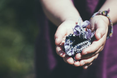 Midsection of girl holding lavender flowers