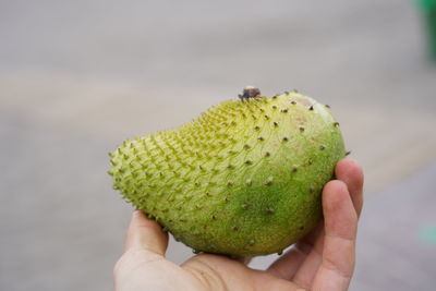 Close-up of hand holding fruit