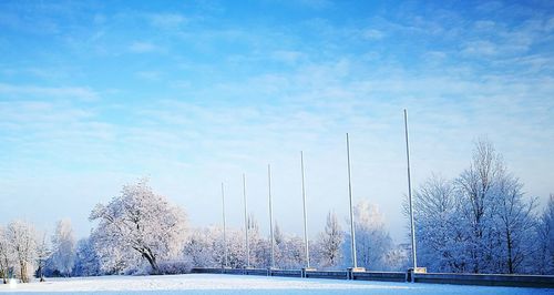 Snow covered plants against sky