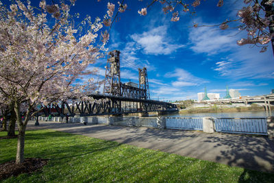 View of park with buildings in background