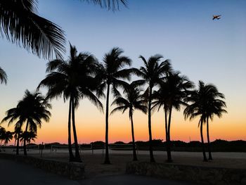 Silhouette palm trees on beach against sky during sunset