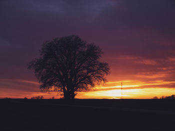 Silhouette tree on field against romantic sky at sunset