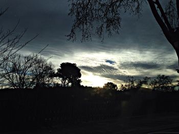 Silhouette of bare trees against sky at dusk