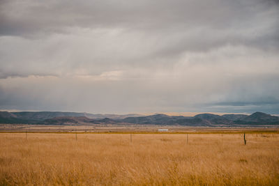 Scenic view of field against sky