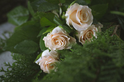 High angle view of rose bouquet