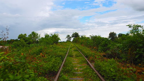 Railroad track amidst trees against sky