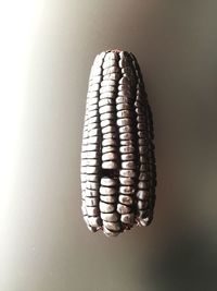 Close-up of bread against white background