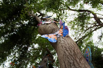 Low angle view of parrot perching on tree