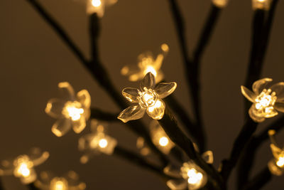illuminated