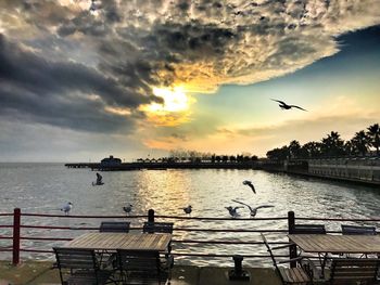 Birds flying over lake against sky during sunset