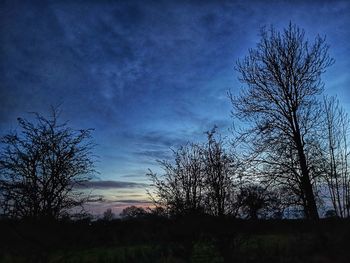 Low angle view of silhouette trees against sky during sunset
