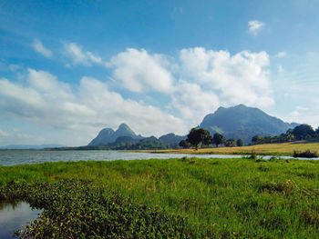 Scenic view of field against sky