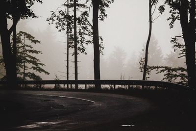 Road amidst trees in forest against sky