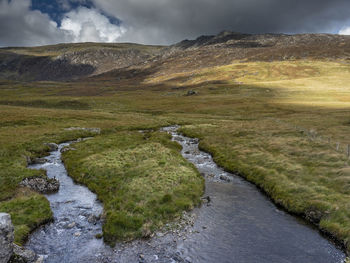 Stream flowing amidst green landscape against sky