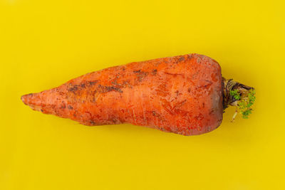 Directly above shot of fresh orange leaf against yellow background